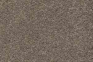 Ковролин AW Vivendi Punch 37 фото  | FLOORDEALER